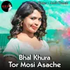 About Bhal Khura Tor Mosi Asache Song